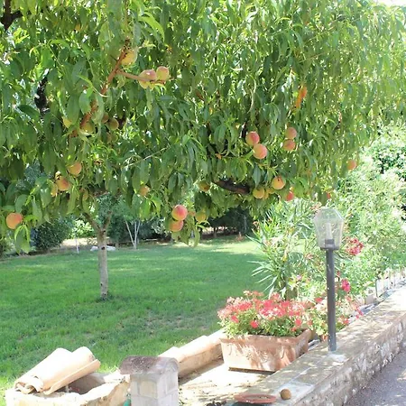 Gasthof Ai Prati Vecchi