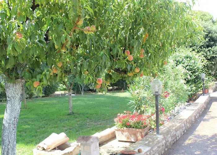 Guest house Ai Prati Vecchi